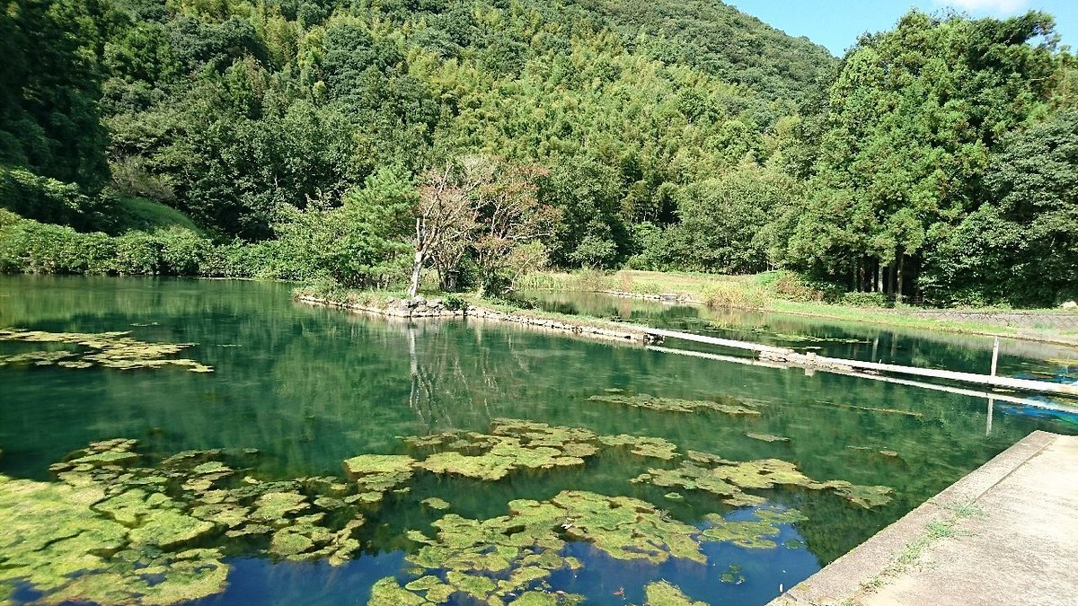 🏞️ 흰 물의 연못 (시라미즈노이케) 이미지 3